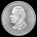 1 oz Silver Maple Leaf Coin | 2025