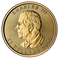 1/2 oz Maple Leaf Gold Coin | 2025