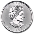 1 oz Maple Leaf Platinum | Mixed Years