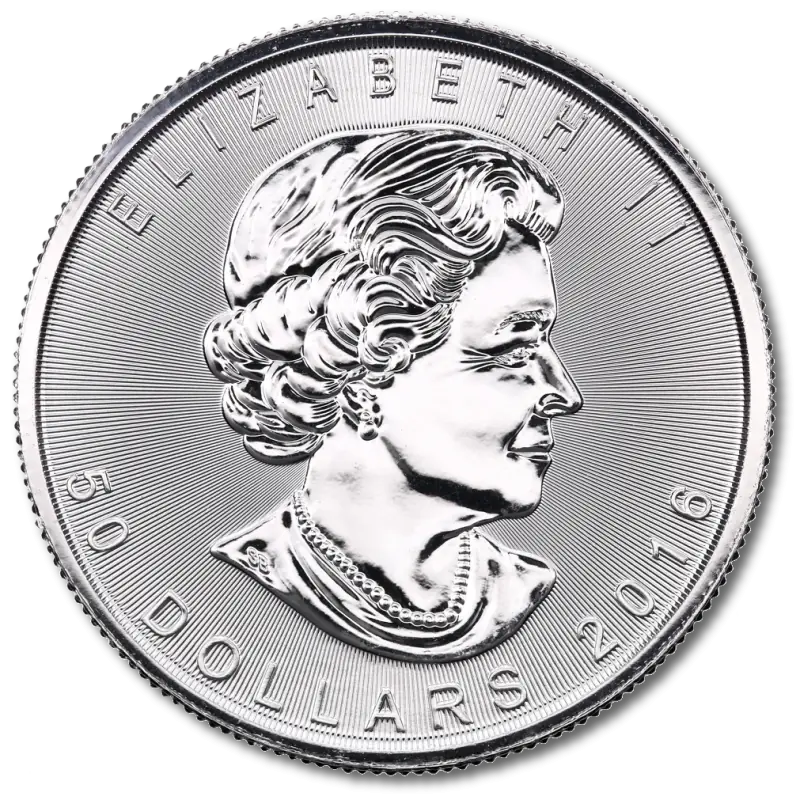 1 oz Maple Leaf Platinum | Mixed Years